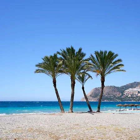 Apartment Mediterraneo